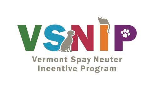 VSNIP Logo